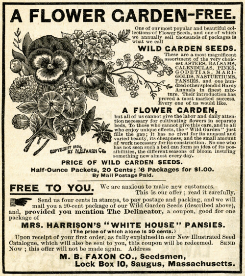 Free vintage clip art flower garden seeds magazine advertisement