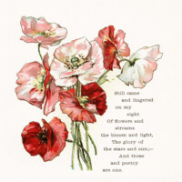 free vintage floral clip art red pink poppies and poem