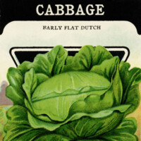 free vintage clip art cabbage garden seed packet card seed co