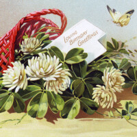 Free vintage clip art basket of clover tipped over butterfly above Tuck postcard