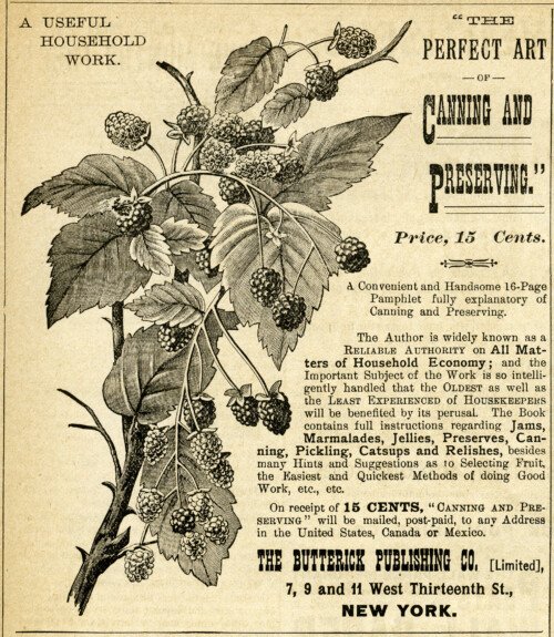 Free vintage canning magazine ad raspberry illustration