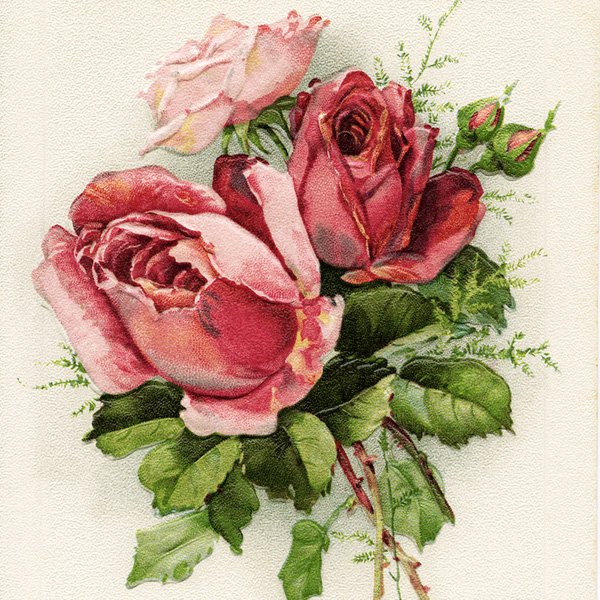 Free vintage clip art birthday postcard roses
