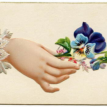 Free vintage image Victorian calling card hand holding pansies