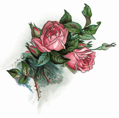 Pink Roses Vintage Clip Art