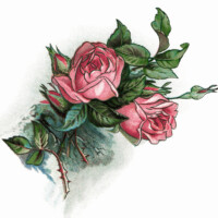 Pink Roses and Poem Vintage Clip Art