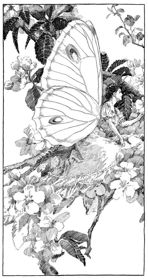 Free vintage butterfly fairy clip art illustration