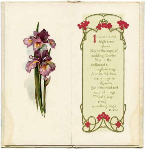 open book pages, vintage purple iris, today by emerson, antique book graphics, vintage flower clip art