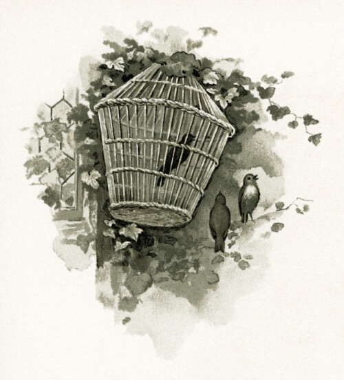 vintage bird clipart, bird in cage graphics, old fashioned birdcage image, antique bird illustration, free bird printable
