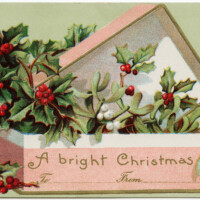 vintage Christmas postcard, old fashioned christmas card, box of holly and berry, antique holiday image, pink and green christmas graphic