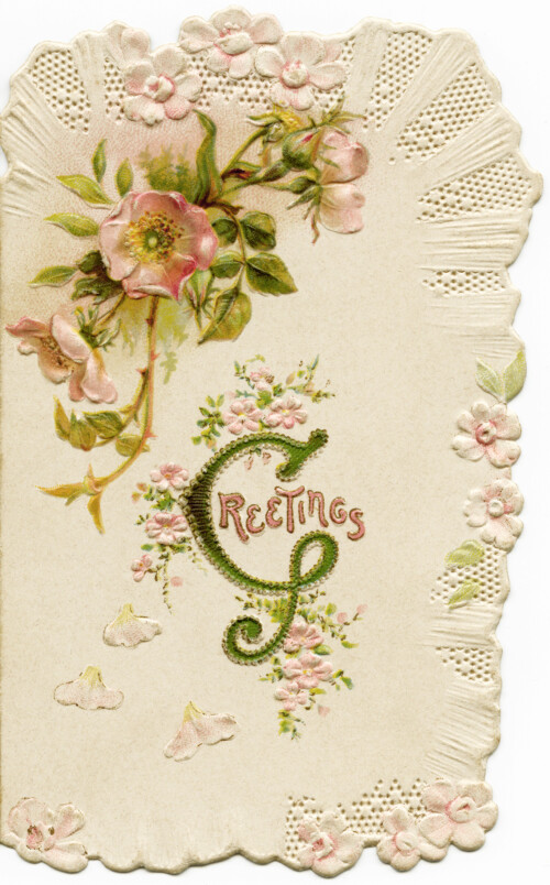 Victorian Christmas card, vintage pink flower image, antique floral graphics, printable greeting card, digital download Christmas
