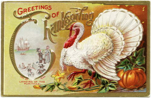 free vintage holiday printable, white turkey image, old thanksgiving card, antique thanksgiving turkey graphics