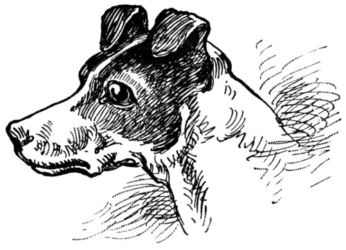 Free vintage dog clip art illustration