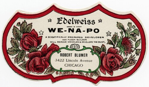 edelweiss wenapo, vintage beauty label, victorian perfume graphics, antique cosmetics bottle label, free vintage ephemera