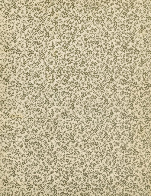 vintage book endpaper image, floral patterned victorian paper, old decorative background page, shabby antique ephemera, public domain texture graphics 