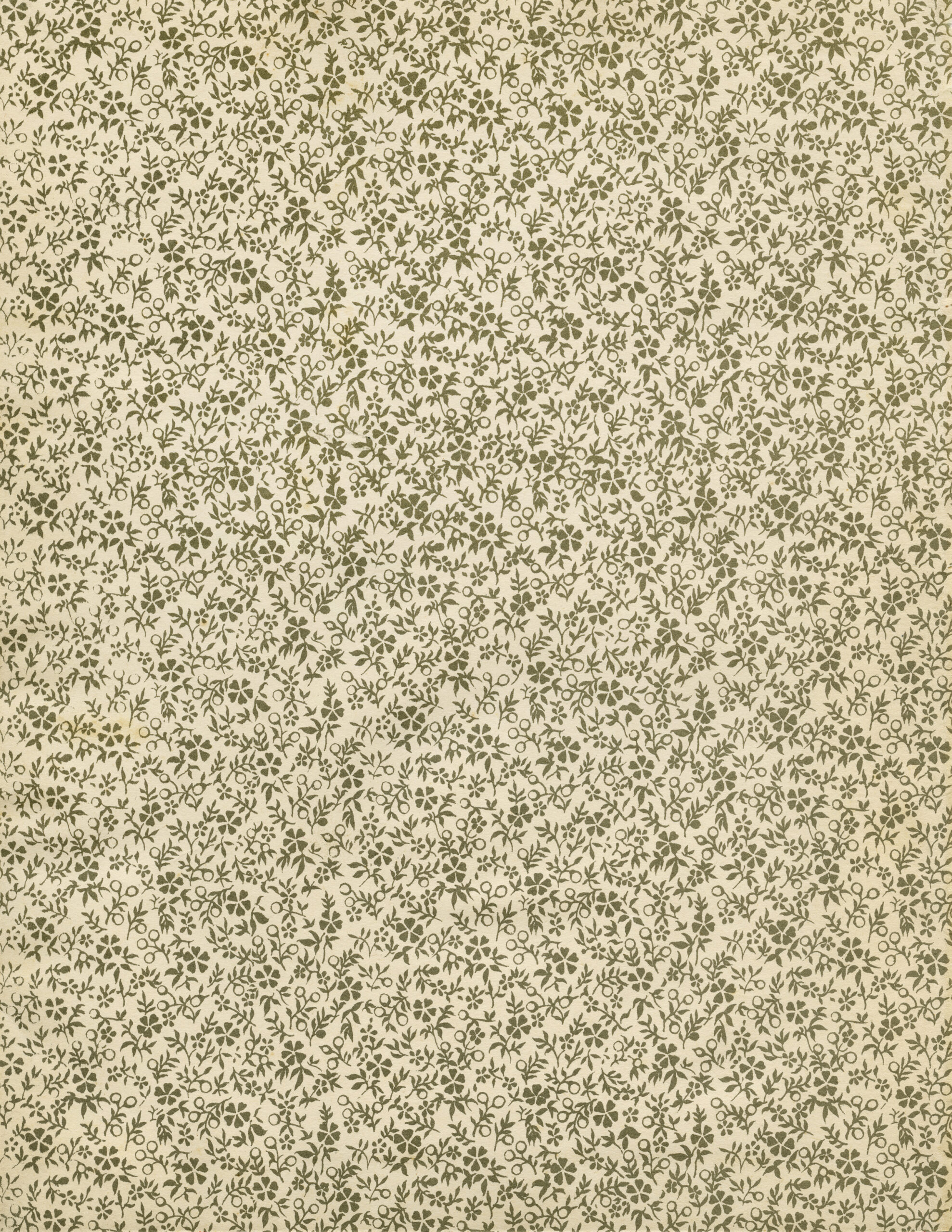 vintage book endpaper image, floral patterned victorian paper, old decorative background page, shabby antique ephemera, public domain texture graphics