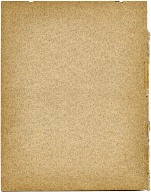 shabby aged endpaper, vintage paper graphics, old yellowed paper, antique book page, digital texture image