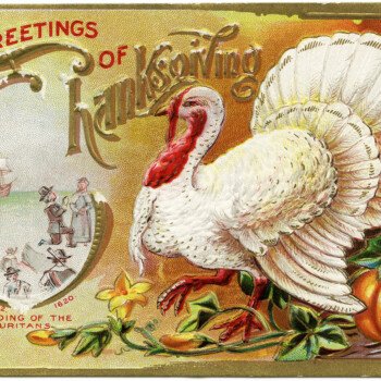 free vintage holiday printable, white turkey image, old thanksgiving card, antique thanksgiving turkey graphics