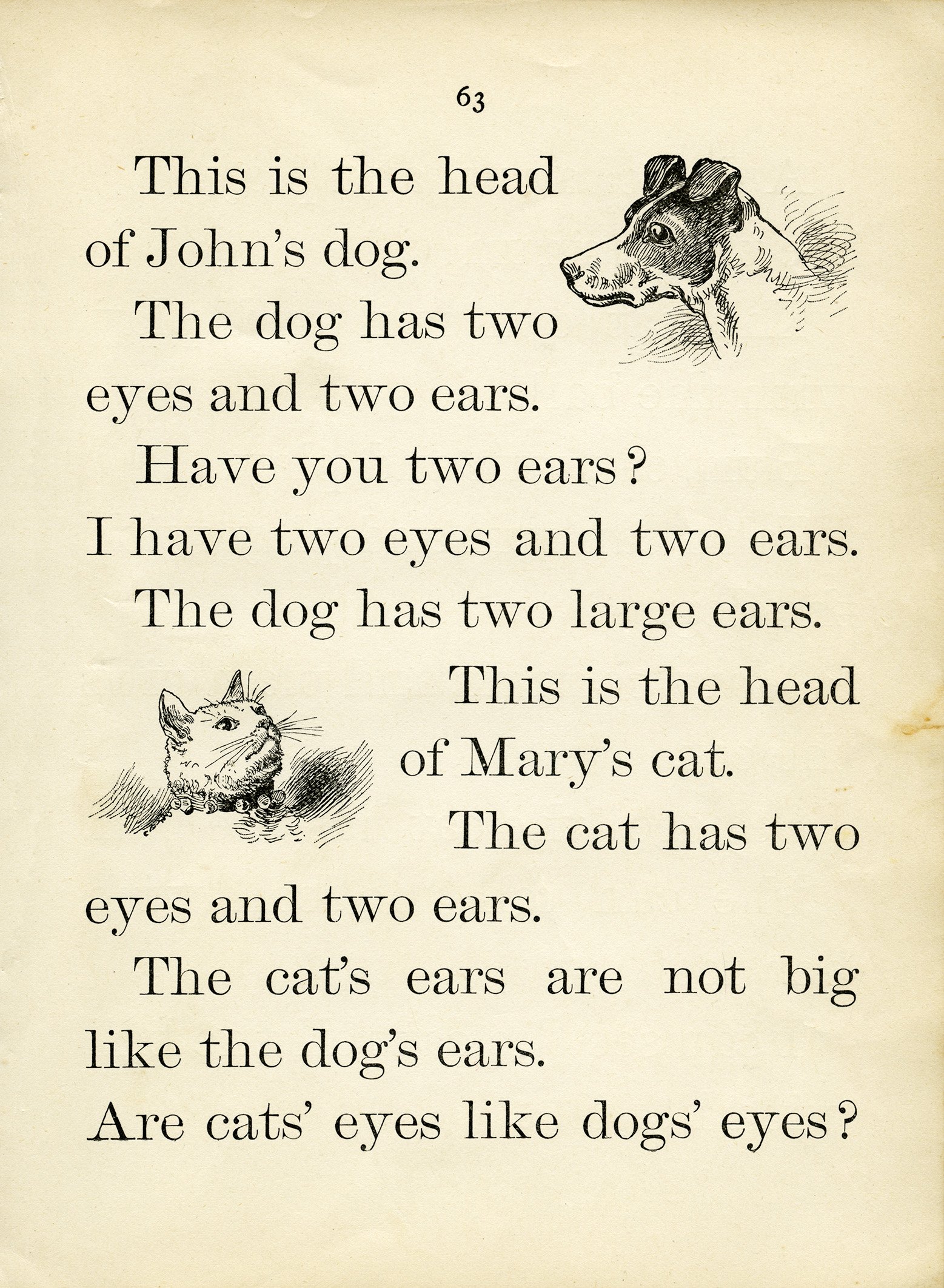 antique school lesson, vintage dog clipart, vintage cat clip art, old book page, old paper ephemera