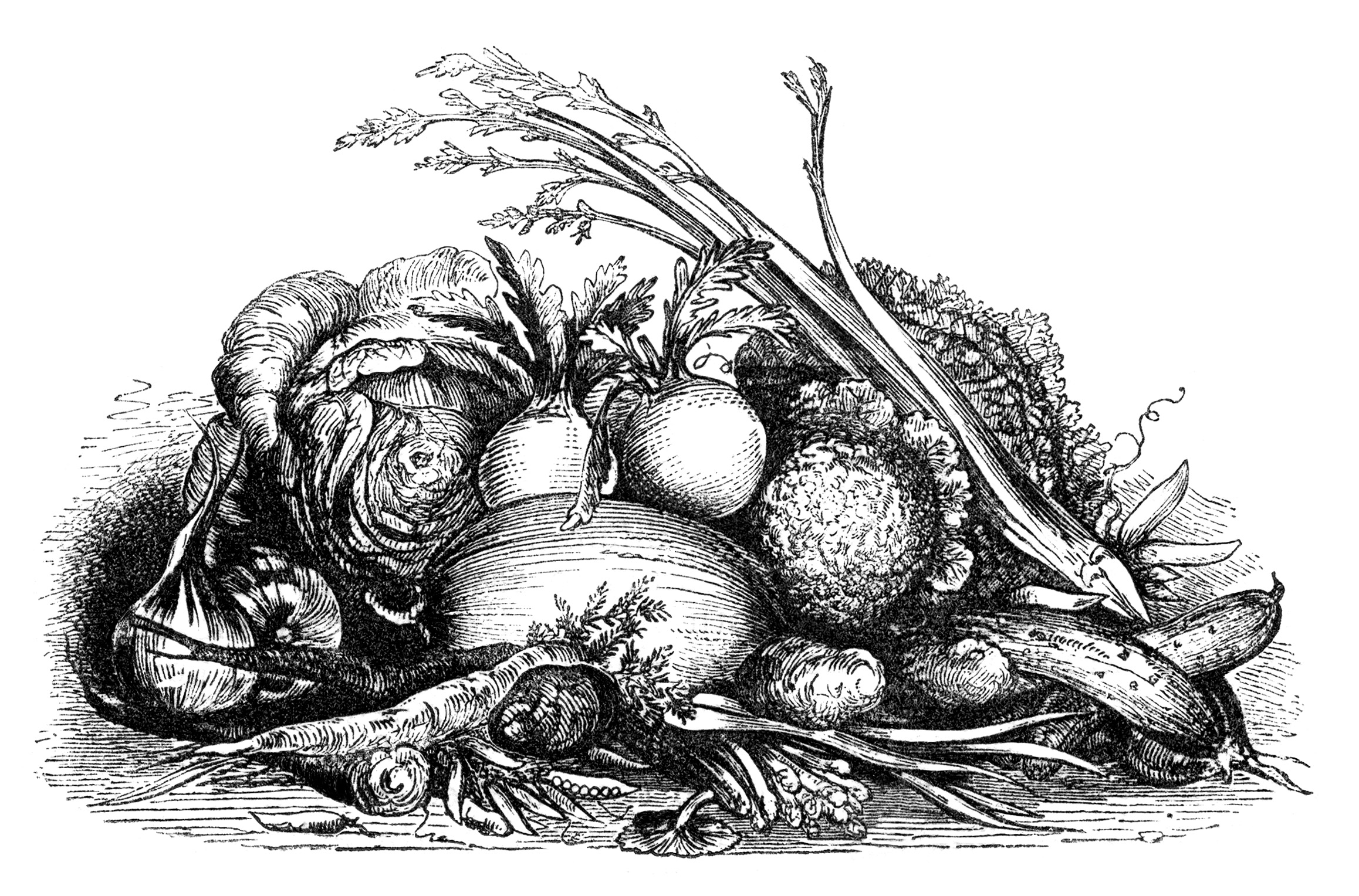 vintage fall harvest clip art, black and white clipart, display of vegetables image, garden veggies illustration, mrs beeton food graphic