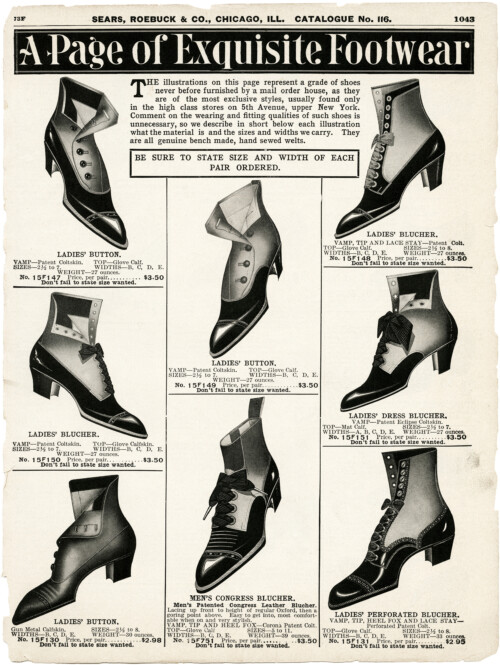 old sears catalogue page, vintage shoe clipart, old fashioned footwear styles, antique ladies shoes image, victorian fashion illustration