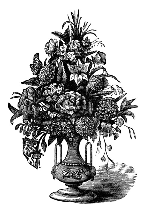 vintage flower clipart, free black and white clip art, antique magazine advertisement, vase of flowers image, floral engraving