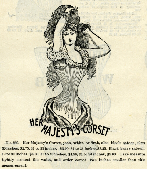 her majesty's corset, black and white clipart, vintage corset clip art, antique catalogue fashion listing, Victorian corset illustration