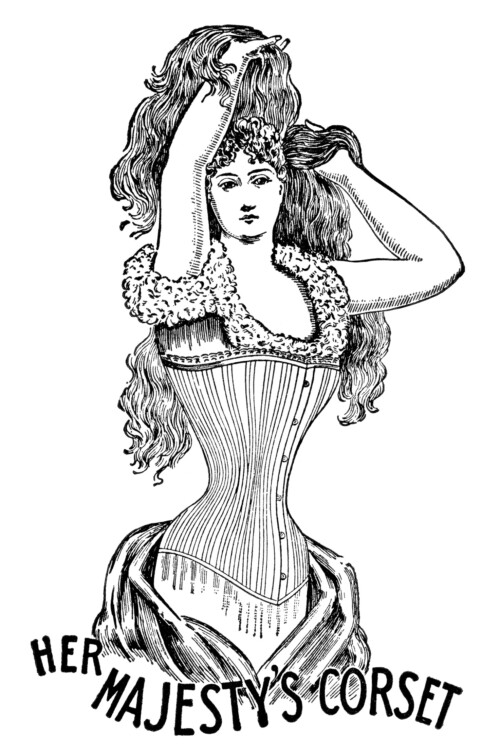 her majesty's corset, black and white clipart, vintage corset clip art, antique catalogue fashion listing, Victorian corset illustration