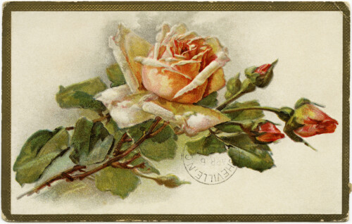 Free Vintage Image ~ Shabby Yellow Rose Greetings Postcard