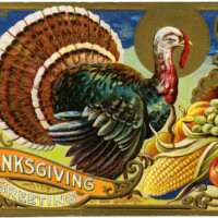 vintage Thanksgiving postcard, turkey clipart, antique holiday card, digital Thanksgiving graphics, old fashioned turkey cornucopia image