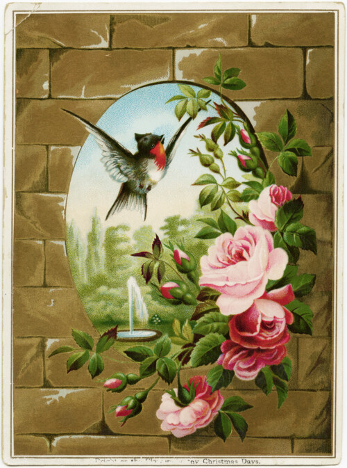 vintage bird roses clipart, Victorian card printable, free vintage clip art, old roses illustration, bird flowers brick wall image