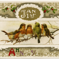 vintage bird clipart, john winsch postcard, antique new year wish, birds on branch image, old fashioned holiday card