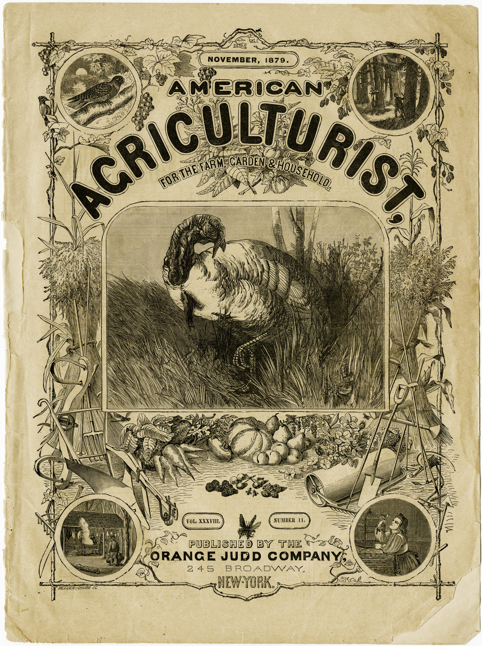 antique magazine cover, american agriculturist cover page, shabby digital graphics, vintage turkey illustration, old fashioned Thanksgiving image