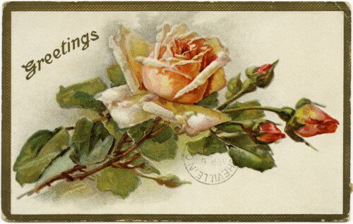 Free Vintage Image ~ Shabby Yellow Rose Greetings Postcard