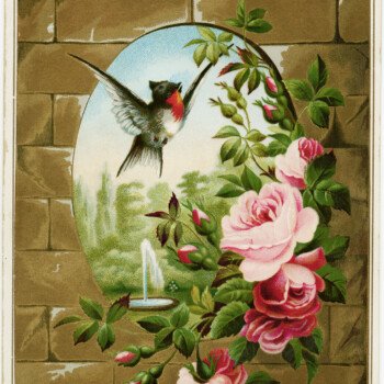 vintage bird roses clipart, Victorian card printable, free vintage clip art, old roses illustration, bird flowers brick wall image