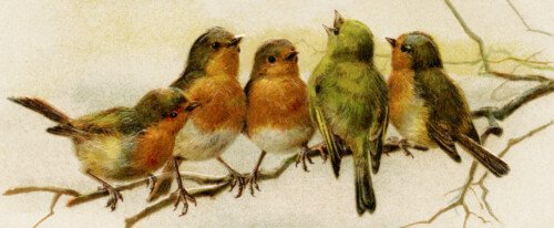 vintage bird clipart, john winsch postcard, antique new year wish, birds on branch image, old fashioned holiday card