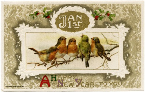 vintage bird clipart, john winsch postcard, antique new year wish, birds on branch image, old fashioned holiday card