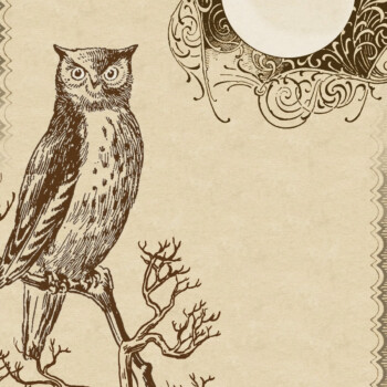 Owl Stationery by Megan at Lilac & Lavender