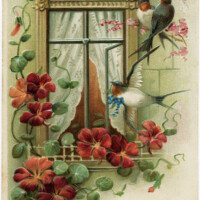 vintage postcard image, old fashioned greeting card, bird flower window graphic, antique postcard birds at window, best wishes floral postcard