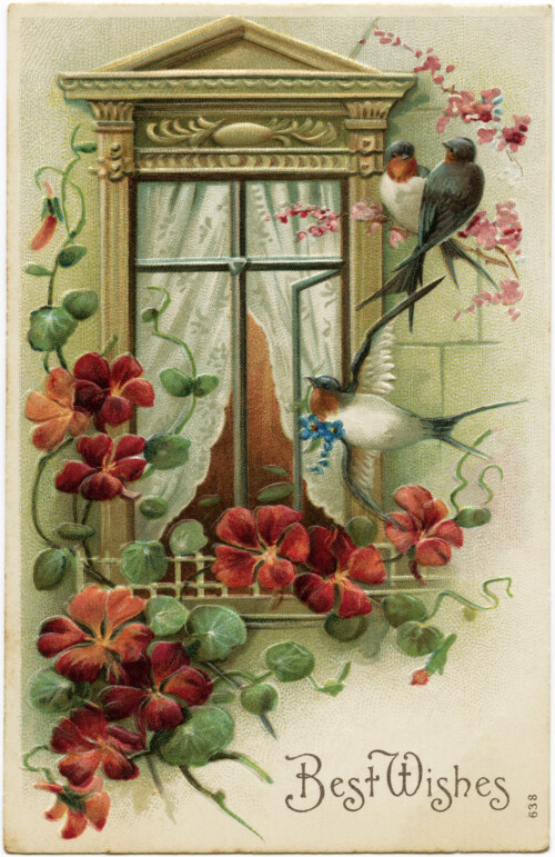 vintage postcard image, old fashioned greeting card, bird flower window graphic, antique postcard birds at window, best wishes floral postcard