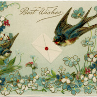 vintage bird postcard, antique floral postcard image, old fashioned best wishes card, free bird flower graphic