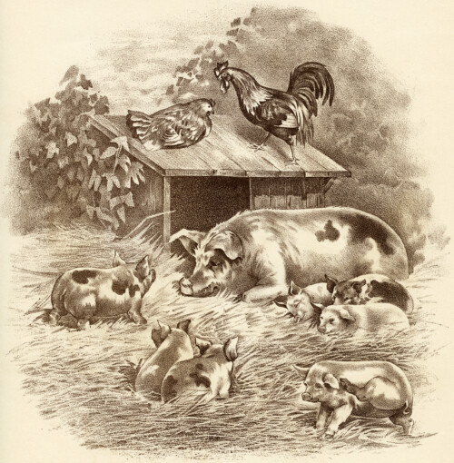 vintage farm animals image, pig piglet rooster hen illustration, black and white clip art, old fashioned farm graphic, farmyard scene illustration