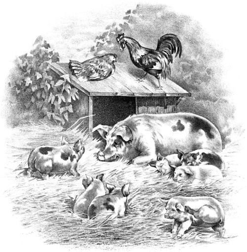 vintage farm animals image, pig piglet rooster hen illustration, black and white clip art, old fashioned farm graphic, farmyard scene illustration