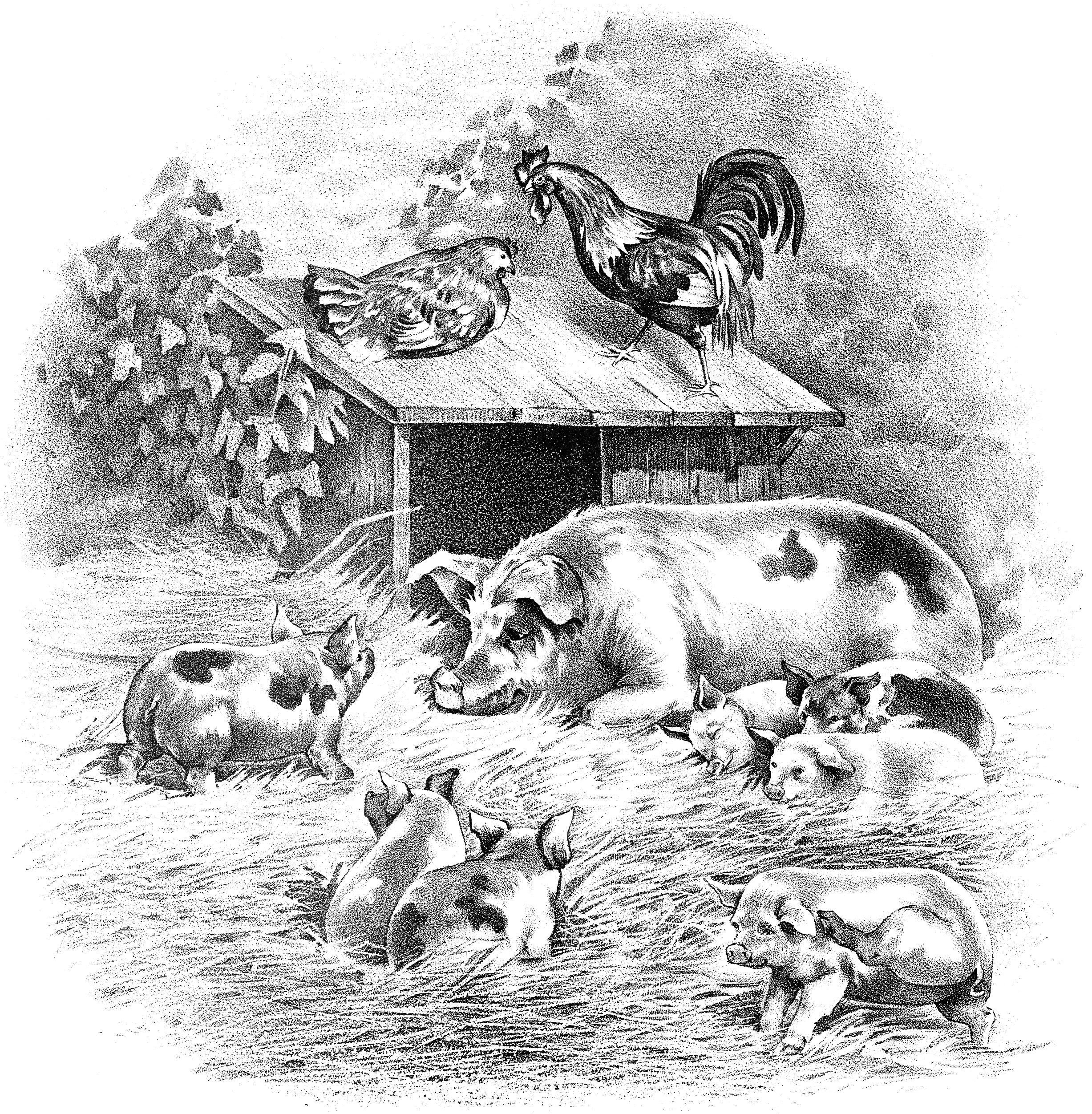 farm animals clip art black and white