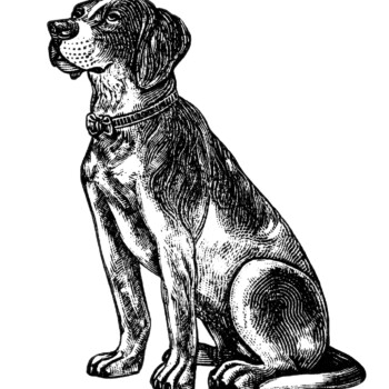 free vintage dog clipart, black and white clip art, digital pet image, dog ornament illustration, printable animal graphic