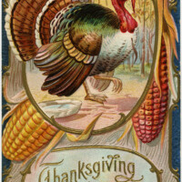 old Thanksgiving postcard, antique thanksgiving card, vintage turkey clip art, printable turkey image