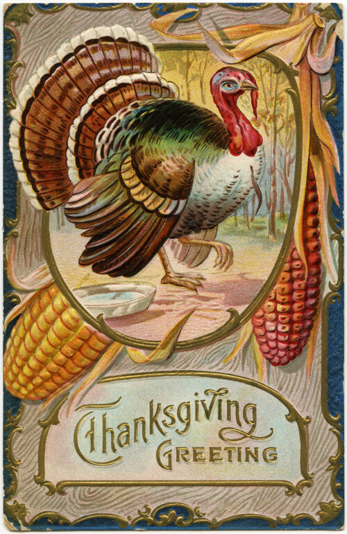 old Thanksgiving postcard, antique thanksgiving card, vintage turkey clip art, printable turkey image