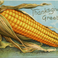 vintage corn clipart, old thanksgiving postcard, corn cob image, free fall graphics, antique corn thanksgiving postcard