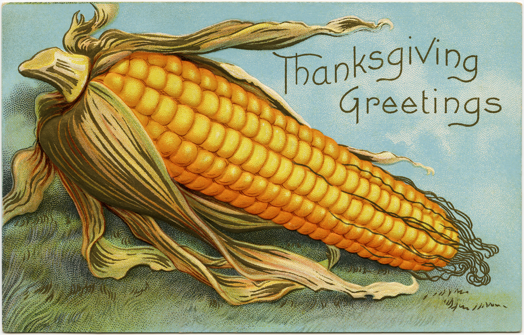 vintage corn clipart, old thanksgiving postcard, corn cob image, free fall graphics, antique corn thanksgiving postcard