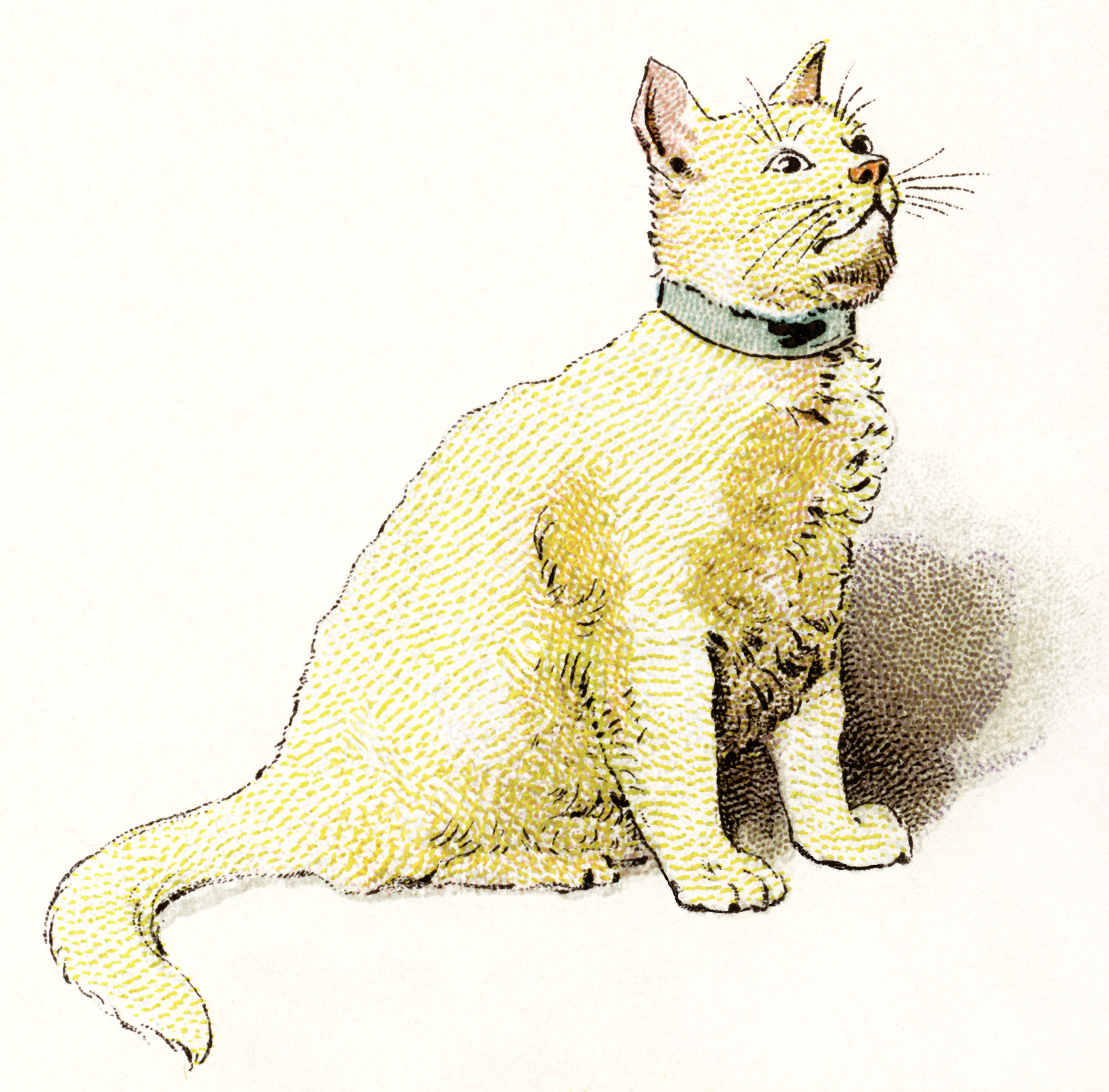 Free Vintage Image ~ A Yellow Cat - Old Design Shop Blog
