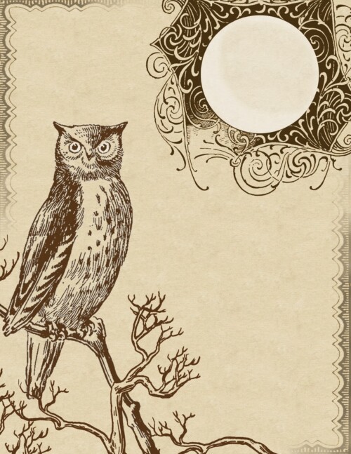 owl stationery, lilac and lavender